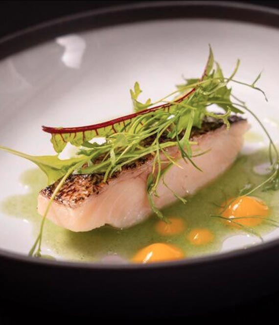 Pesce di lago con erbe